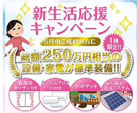 キャンペーン情報